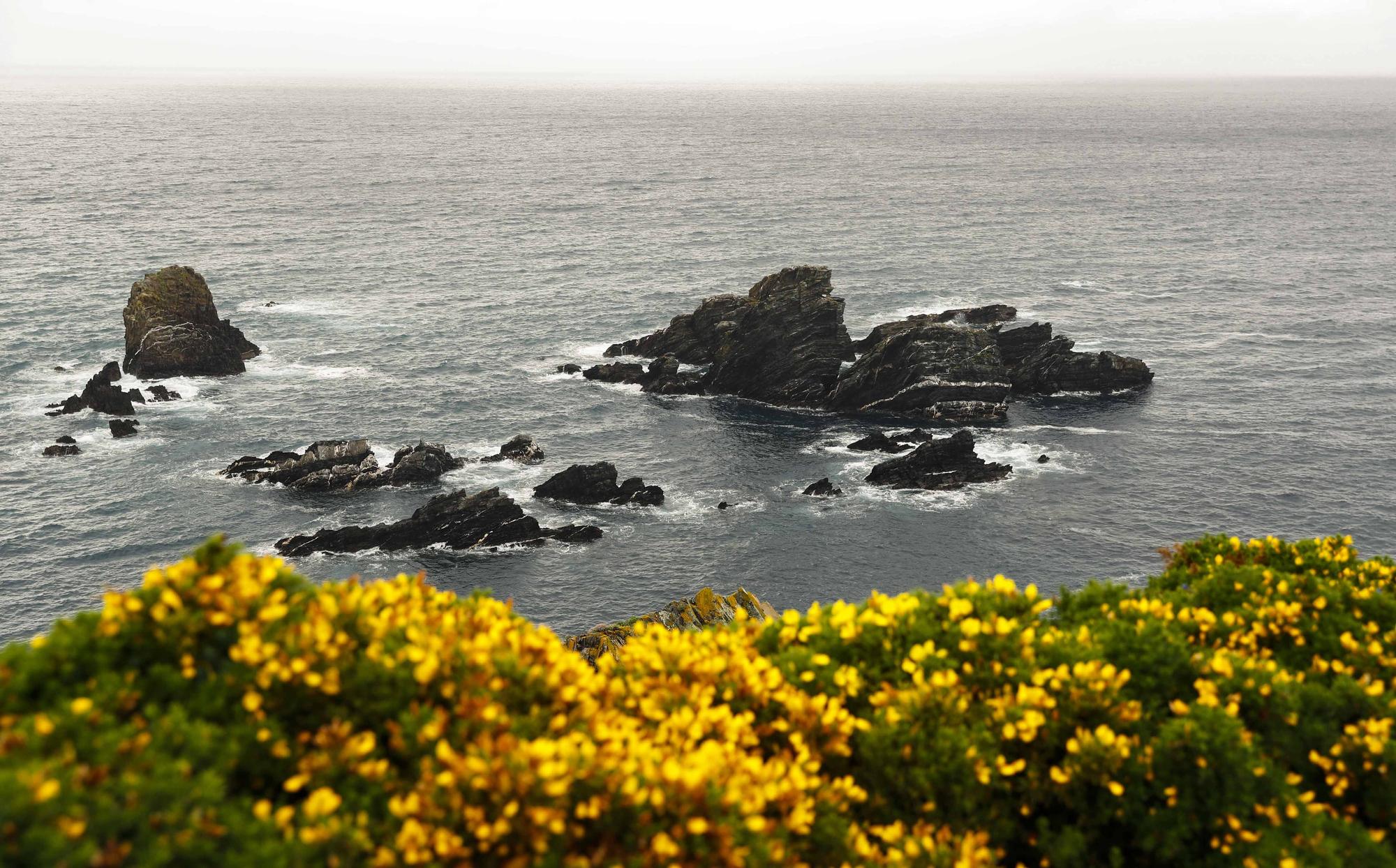 Excursión fotográfica por la espectacular costa de la Mariña lucense