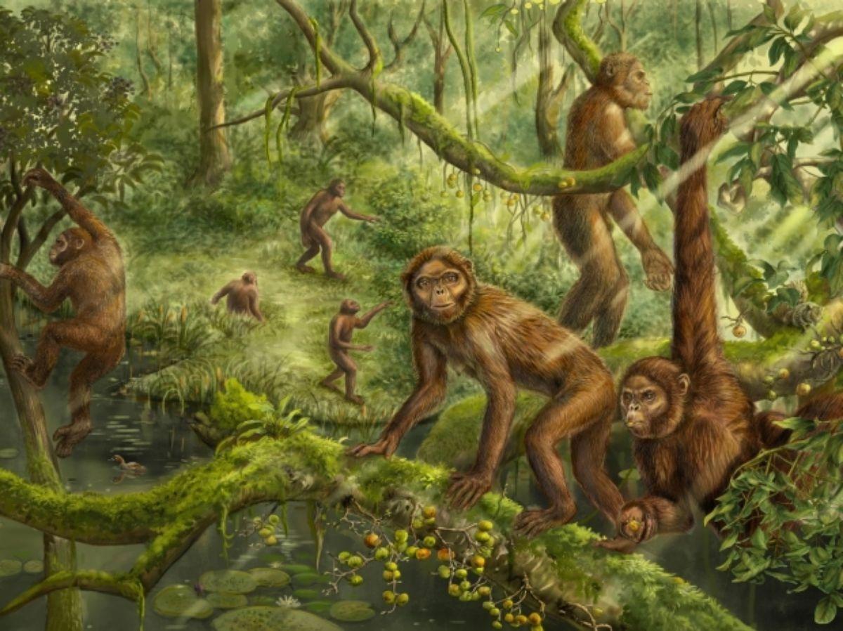 Reconstrucción del comportamiento locomotor y paleoambiente de Lufengpithecus.