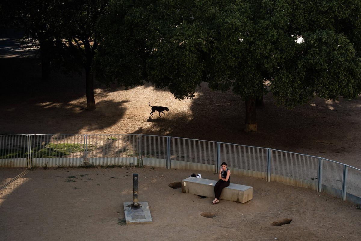Gente aprovechando las sombras del Parc de l'Espanya Industrial, que actúa como refugio climático en Barcelona.