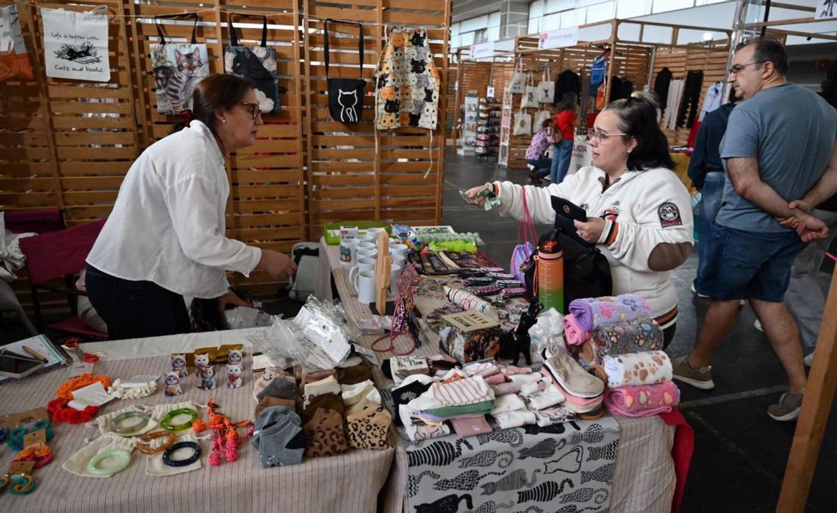 Actividad de «agility», en el
recinto ferial. | G. Santos