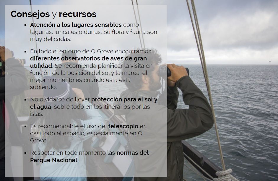 Algunos de los consejos que ofrece Galicia Birding.