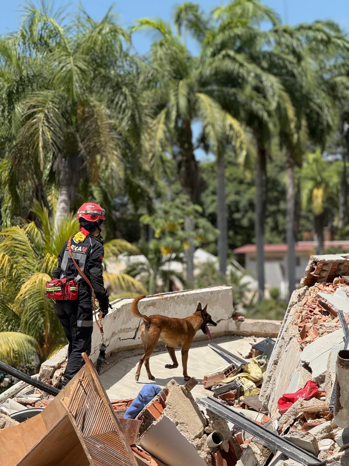 Carolina Galán y Perro en los restos del terremoto
