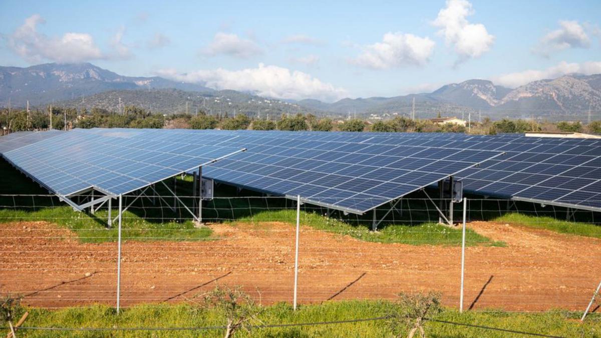 Imagen de unas placas fotovoltaicas en Son Reus. |