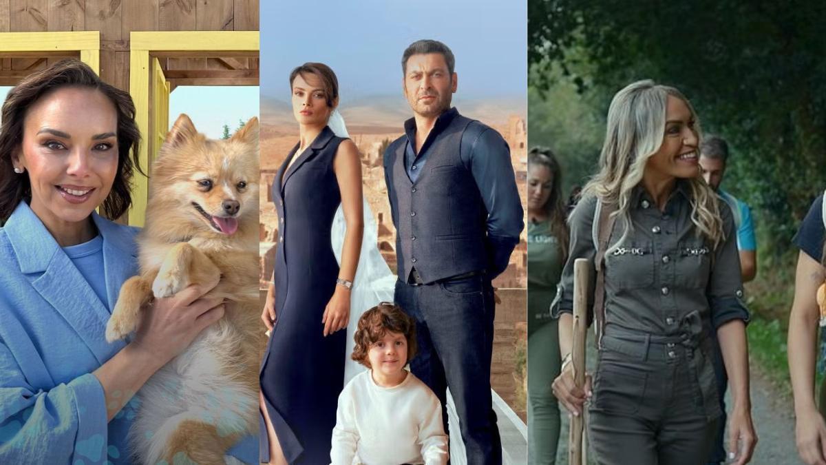 'Dog House' / 'En tierra lejana' / 'El camino de la verdad'