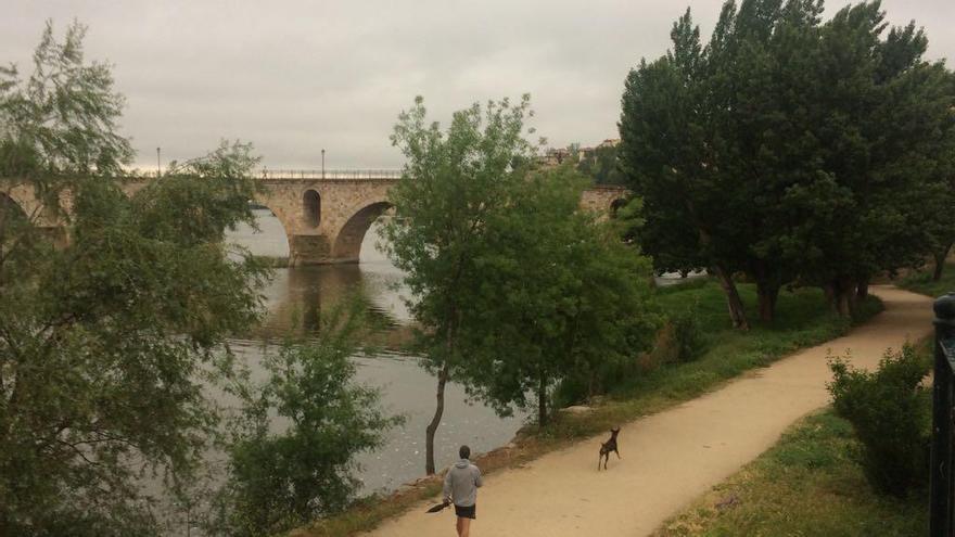 Un hombre pasea junto a su perro por el camino del río.