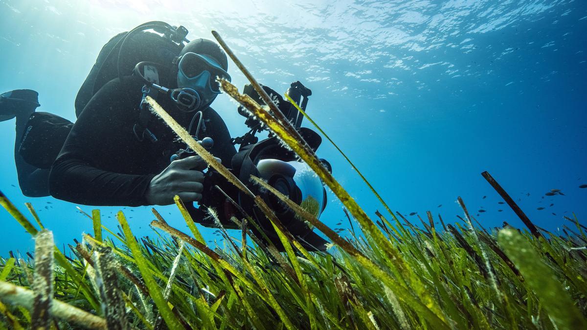 Meeresbiologe Uli Kunz filmt im Mittelmeer das Neptungras. Die Wiesen unter Wasser bieten einen einzigartigen Lebensraum für unzählige Organismen.