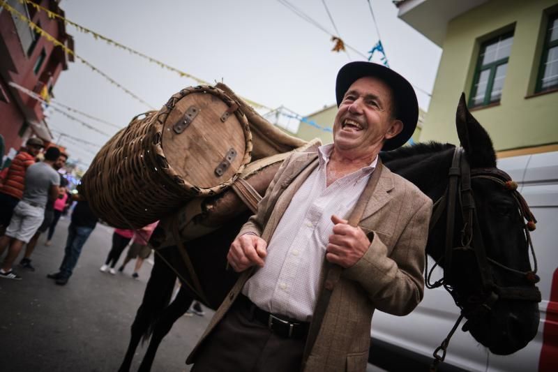 Homenaje a los cochineros de Icod el Alto