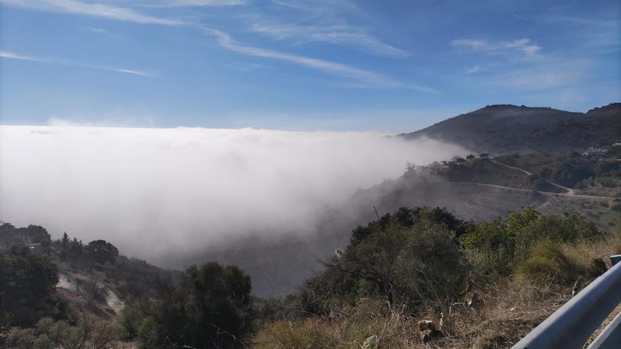 El taró cubre Málaga por cuarto día consecutivo