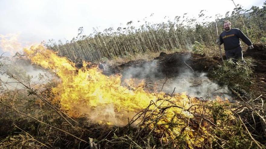 Los ingenieros forestales abogan por &quot;invertir en prevención&quot;