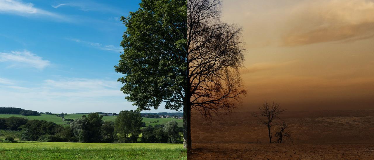 El paraíso verde, en peligro