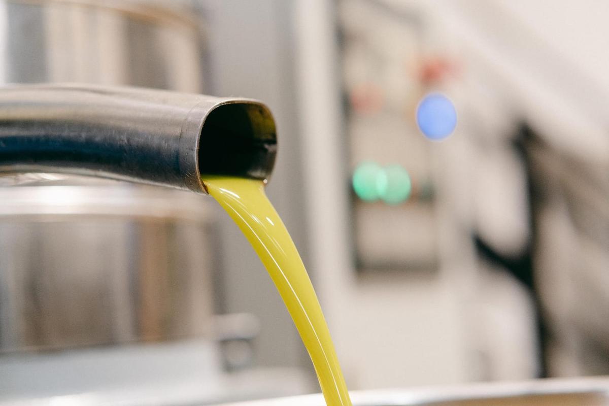 Instalaciones de la almazara durante el proceso de producción del aceite.