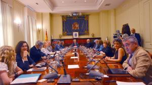 Reunión del Consejo General del Poder Judicial.