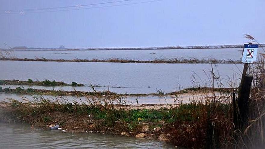 El mar inunda 3.000 hectàrees d&#039;arrossars al delta de l&#039;Ebre