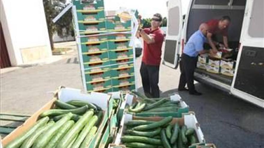 Donan a los pobres toneladas de verduras por la ‘crisis del pepino’