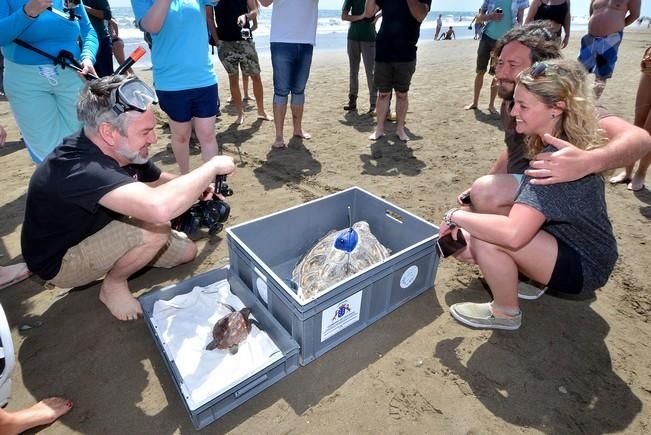 18/03/2016 PLAYA DEL INGLES, SAN BARTOLOME DE TIRAJANA. Suelta de tortugas bobas en Playa del Ingles. Foto: SANTI BLANCO