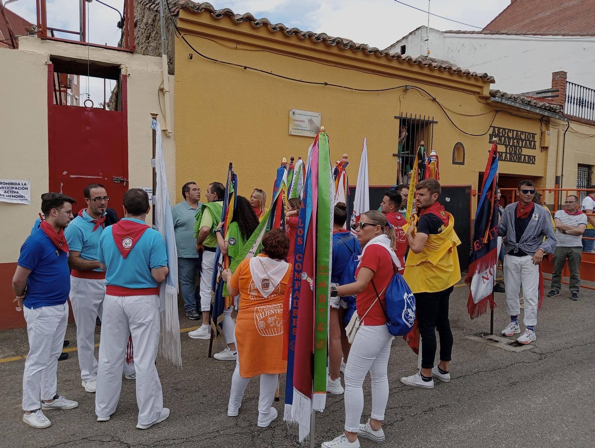 Toro Enmaromado en Benavente: La fiesta del jueves en imágenes