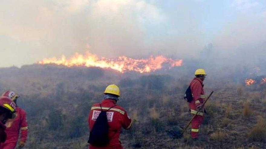 Perú extingue 15 incendios forestales, pero aún lucha contra otros tres