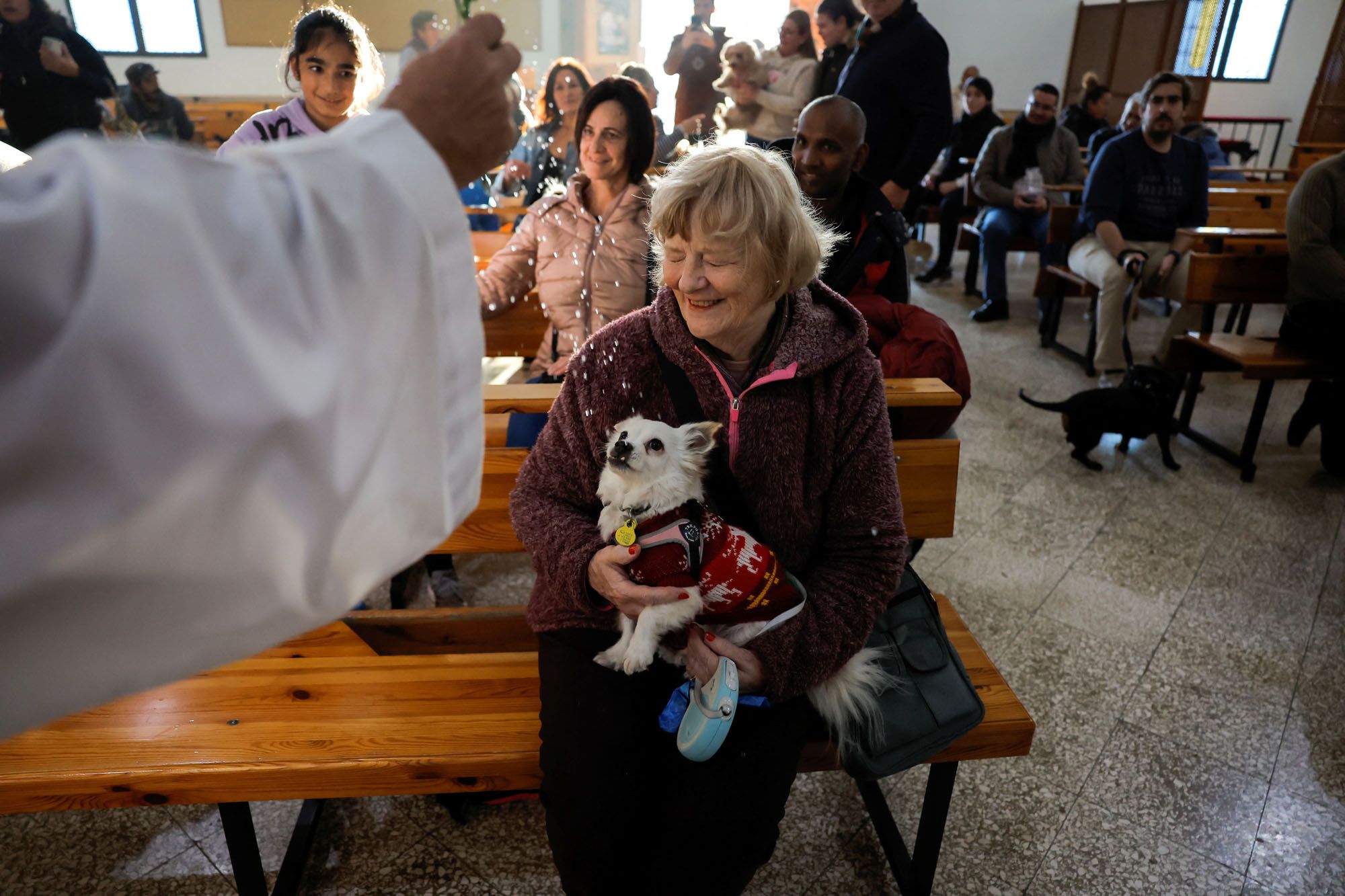 Bendición de animales en la iglesia de San Antonio Abad, en Churriana