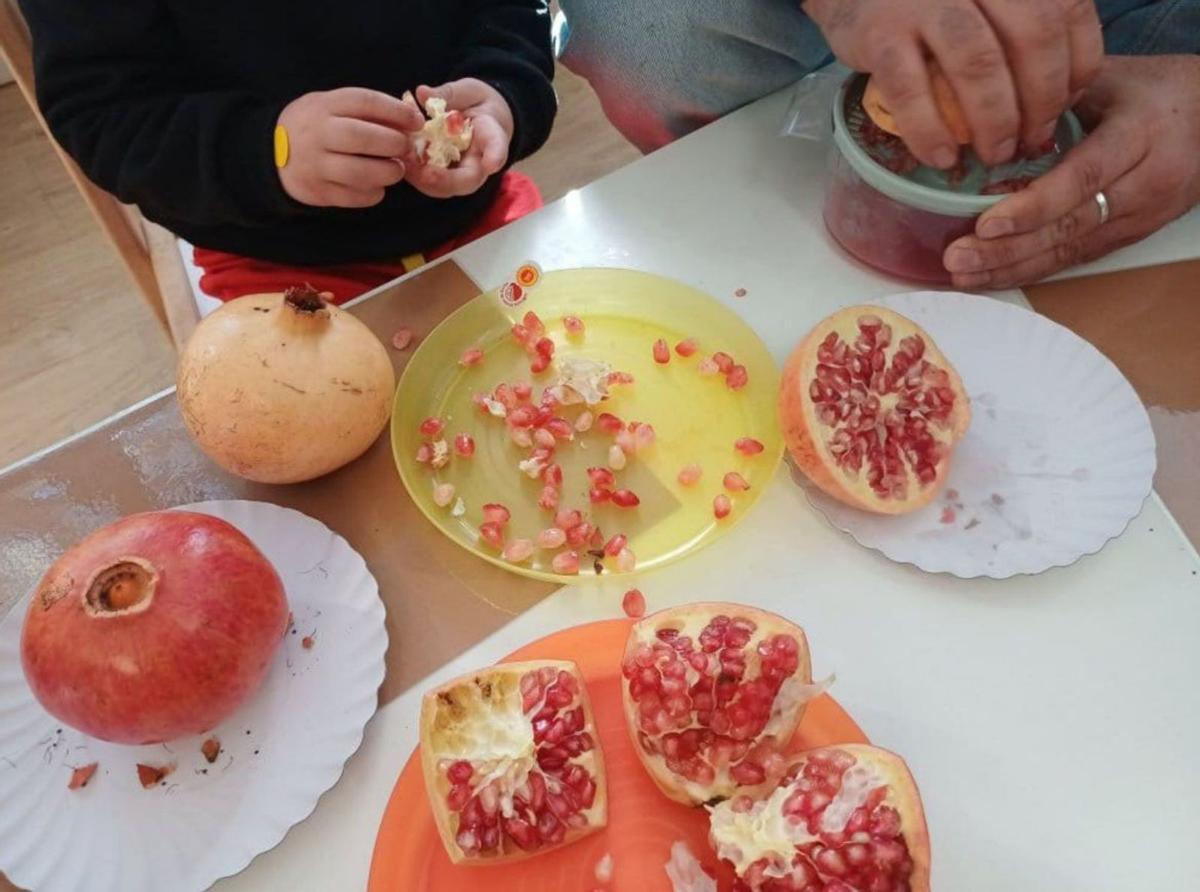 Tallers i xarrades han servit per a apropar fruites fascinants i bones. L-emv