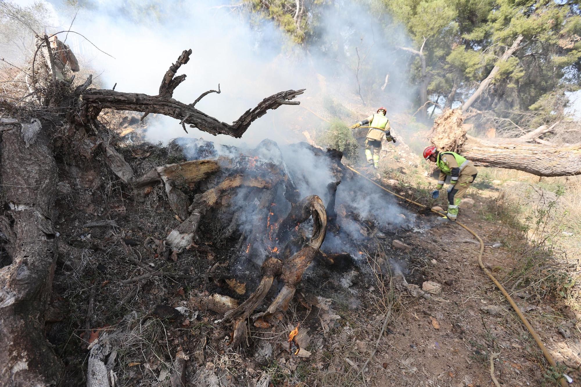 Galería de fotos del incendio forestal en el río Millars entre Vila-real y Almassora