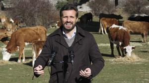 El joc del PP
