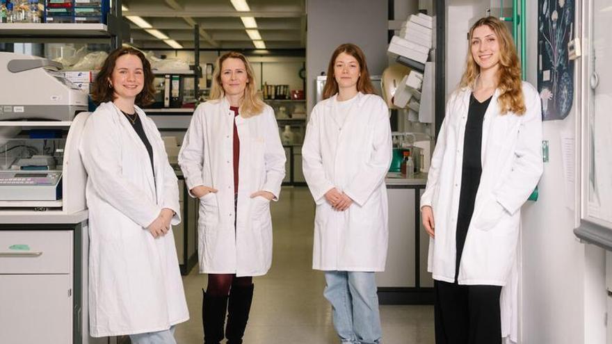 Un estudio revela cómo activar neuronas específicas acelera la extinción del miedo en ratones