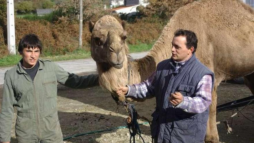 Varios concellos rechazan los circos con animales.