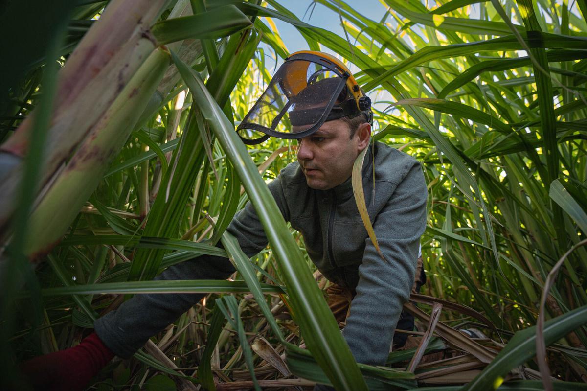 La única destilería de ron artesanal de Tenerife quiere producir un "objeto de deseo"