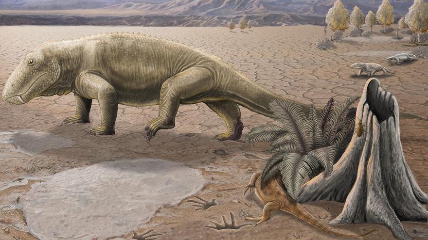 Un estudis sobre les petjades dels dinosaures al Berguedà fixa el final dels grans amfibis