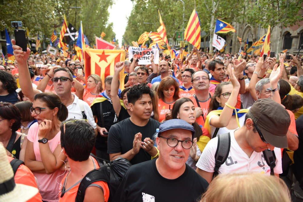 La Diada 2018, en imatges