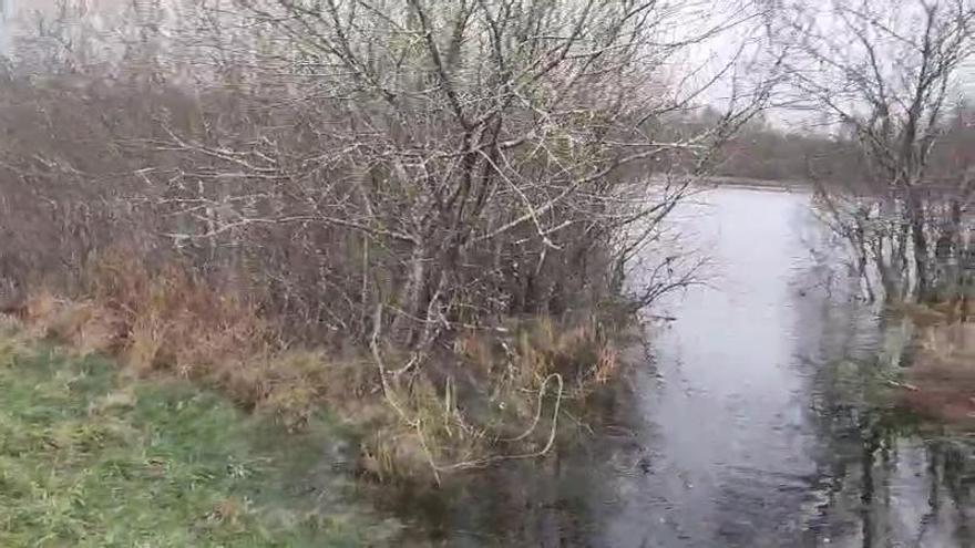 La laguna mágica que solo emerge en inviernos muy lluviosos