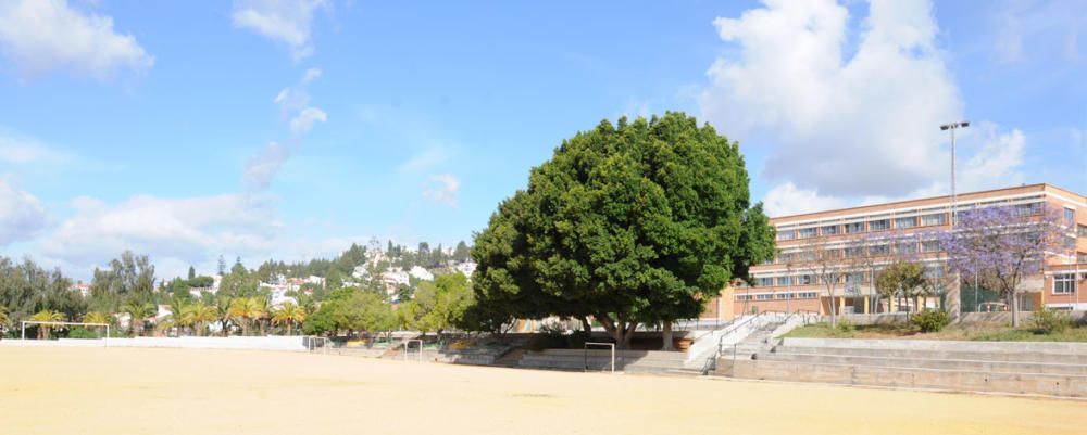 El colegio Los Olivos cumple 50 años y une este aniversario a los cien del antiguo San Agustín, que cerró definitivamente sus puertas en 1972