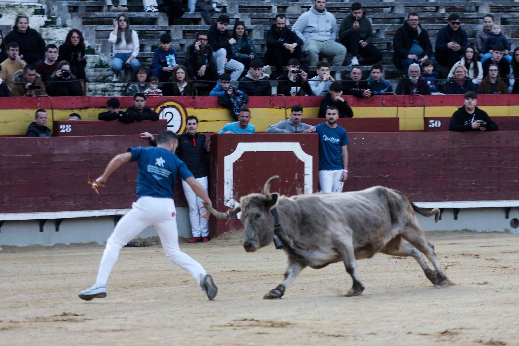 Jornada benéfica taurina en Castelló