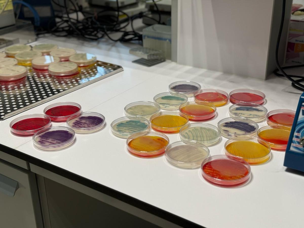 Muestras de alimentos preparadas para ser analizadas en el Laboratori Agroalimentari de Cabrils.