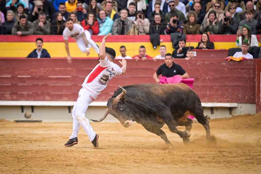 Así ha sido el Concurso Nacional de Recortadores de Castellón