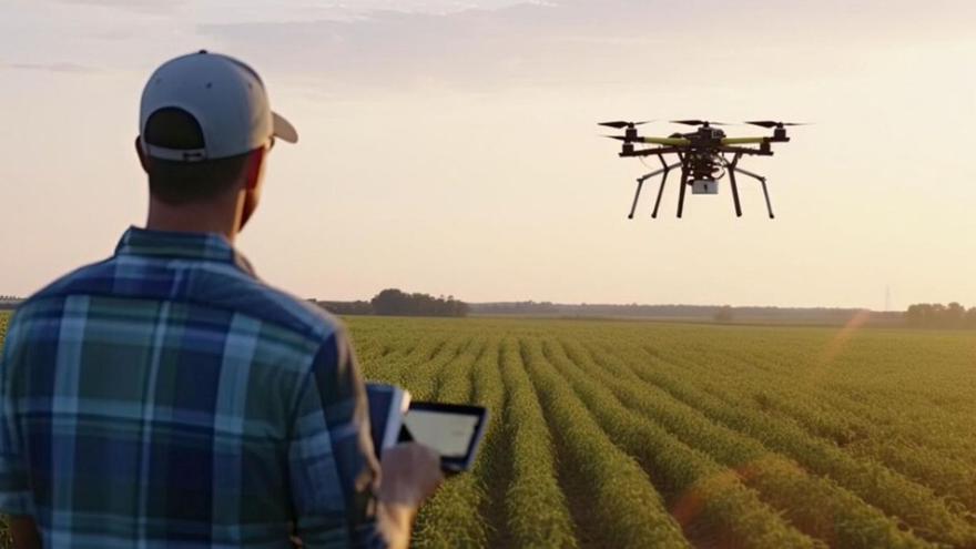 Un agricultor utilizando un dron para comprobar el estado de sus cultivos. | Cedida
