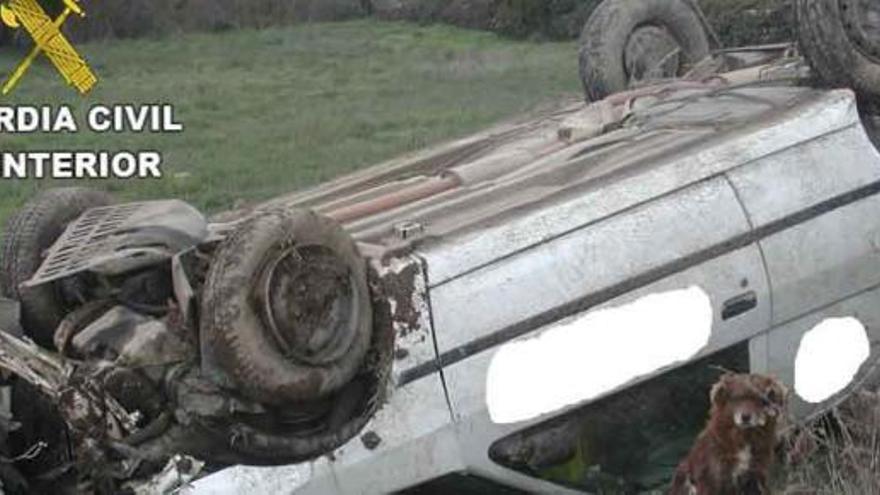 Un perro al pie de un coche accidentado. Foto cedida por la Guardia Civil