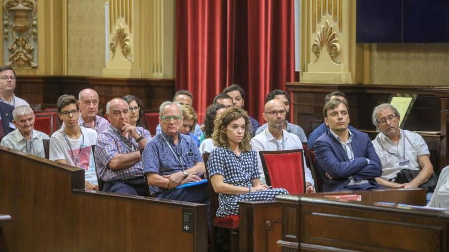 El PSOE copa el Parlament y Bauzá se olvida que es senador autonómico