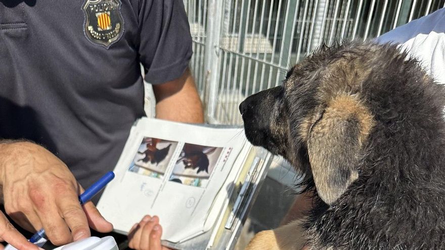 Un moment de la inspecció al centre caní del Bages