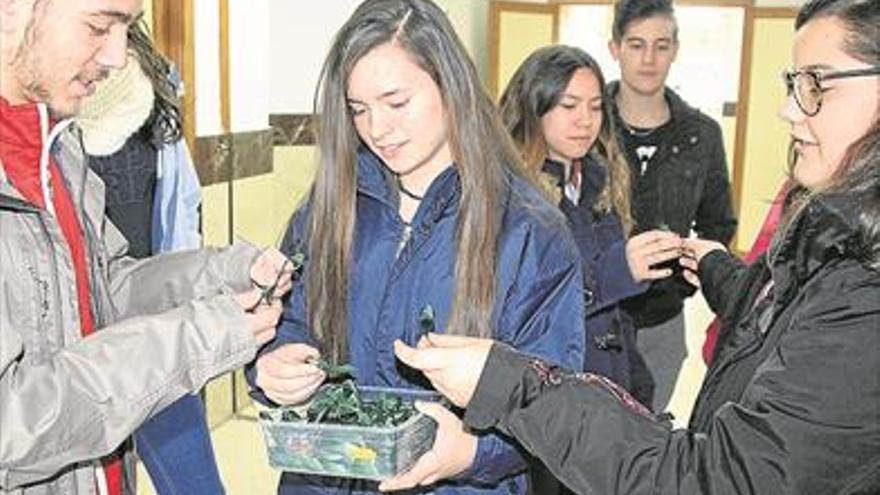 Escolares lucen un lazo verde en señal de apoyo a la familia de Manuela Chavero