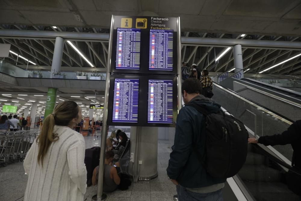 Unwetter sorgt für Chaos im Flugverkehr auf Mallorca