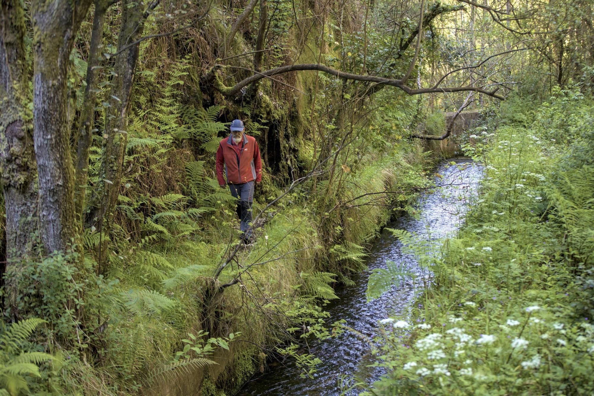 EN IMÁGENES: Así es el oasis natural de Corvera, la senda del Escañorio