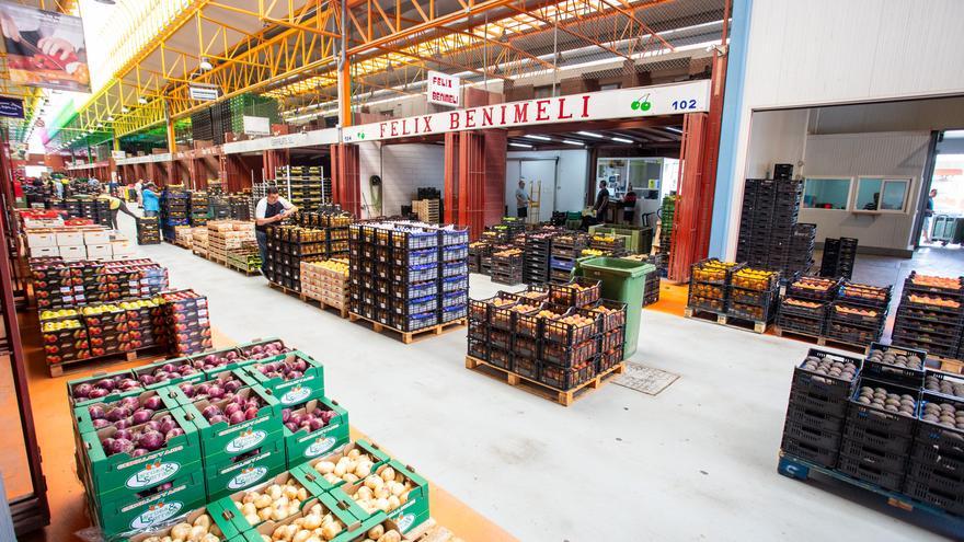 Mercalicante cierra 2024 con un beneficio superior a los 275.000 euros y se prepara para su expansión