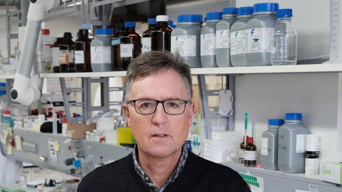 El catedrático de Química Orgánica de la Universidad de Santiago de Compostela (USC), José Luis Mascareñas, es el premio Jaume I de Investigación Básica 2025.