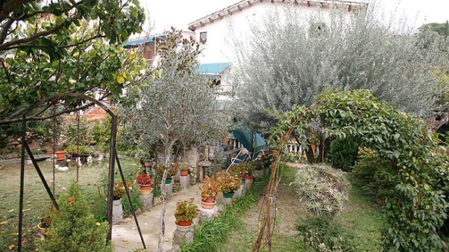 L&#039;habitatge del carrer del Carme, darrere del jardí.