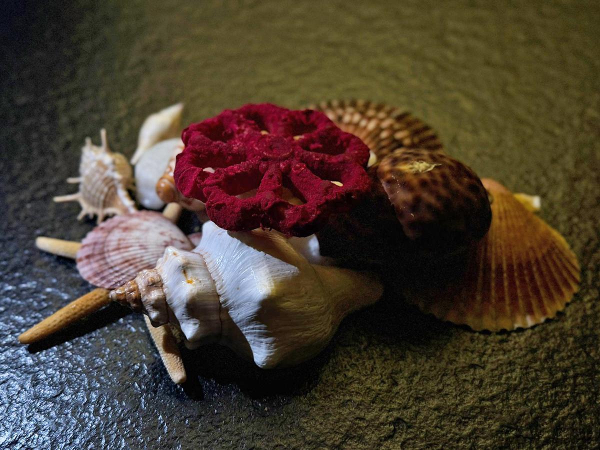 'Todo al grana', la tapa creada por el chef Salvador Fernández