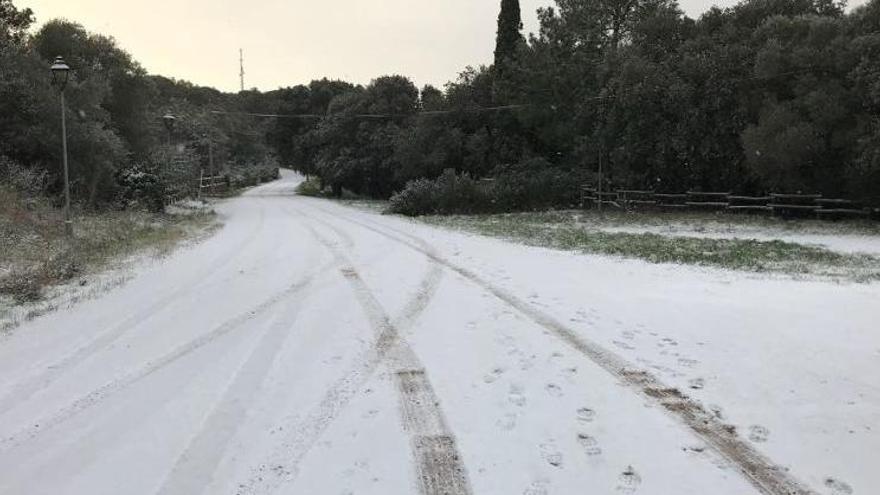 «Estem arran de costa i és estrany que nevi; m&#039;ha sorprès»