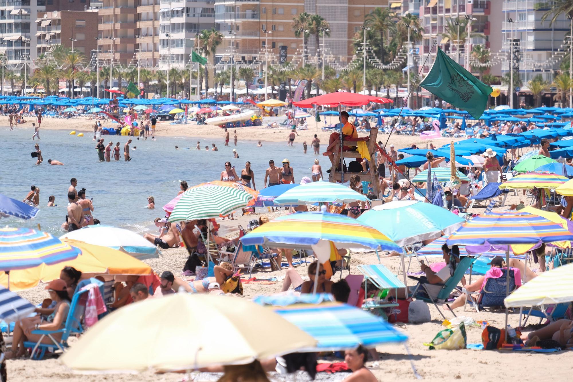 Benidorm a reventar