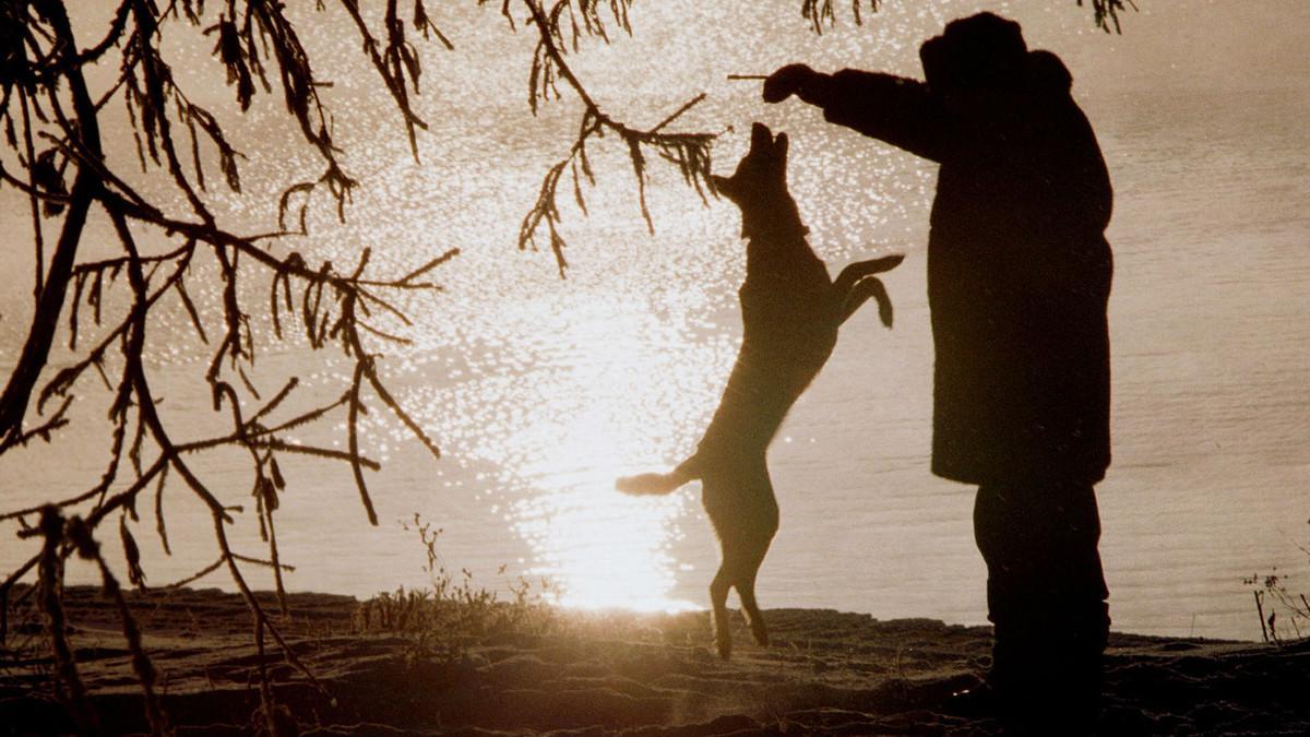 Un hombre juguetea con su perro al atardecer en un parque ruso.