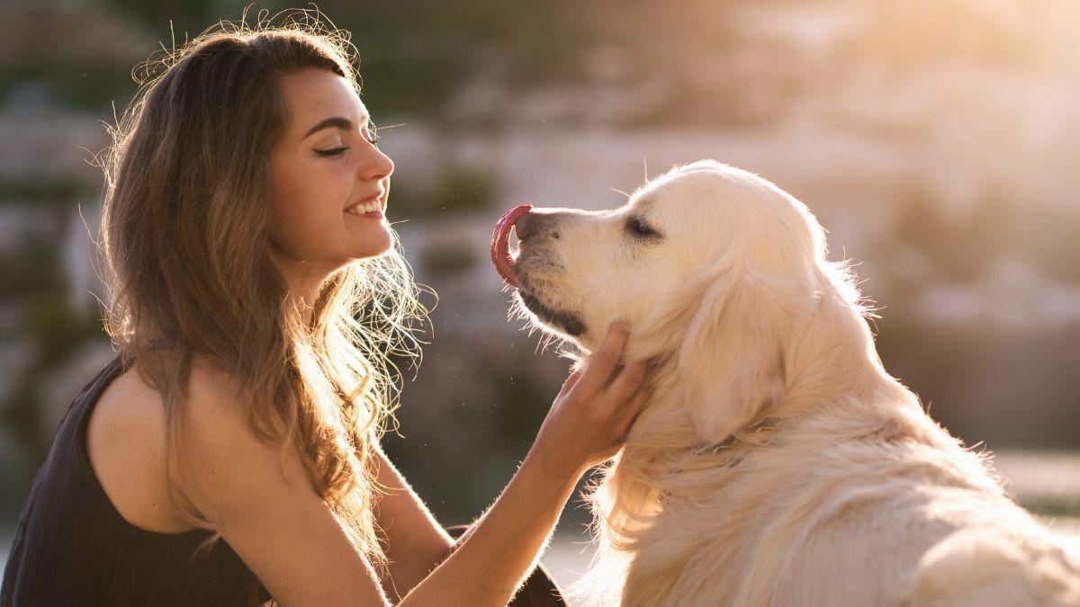 Las mascotas muestran felicidad al ver a sus dueños